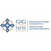 Consultant Radiologist with interest in Neuro-Interventional Radiology cardiff-wales-united-kingdom